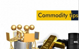 about-commodity