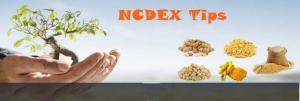 ncdex-tips_