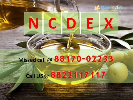 ncdex tips - menthol oil