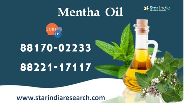 mentha oil update 12 dec - starindia market research