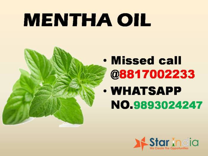 MENTHA OIL promotional 3